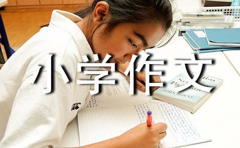 篮球训练营头像_0